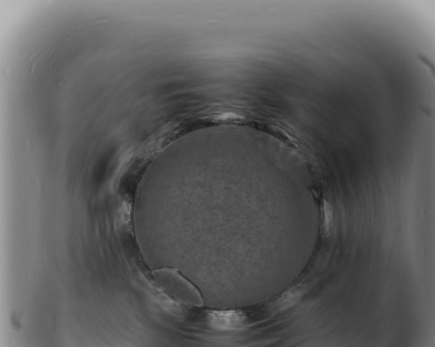 X0000103250281200809041115