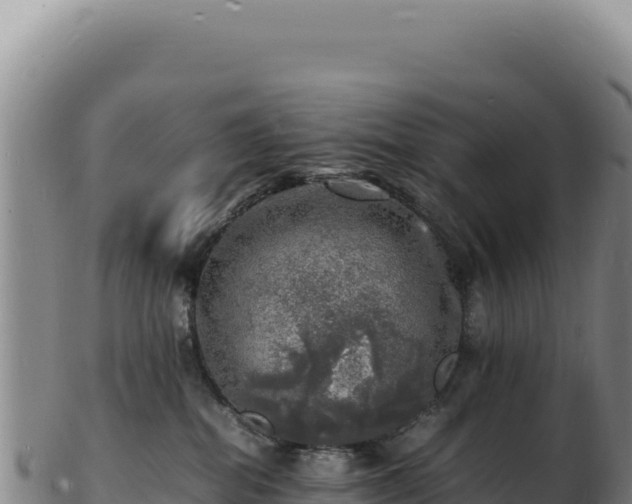 X0000103250282200809041115
