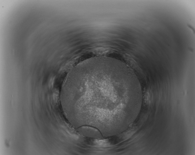 X0000103250283200809041116