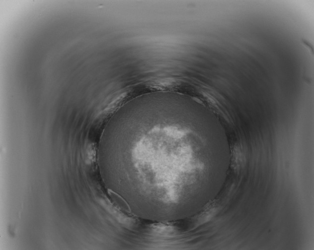 X0000103250284200809041116