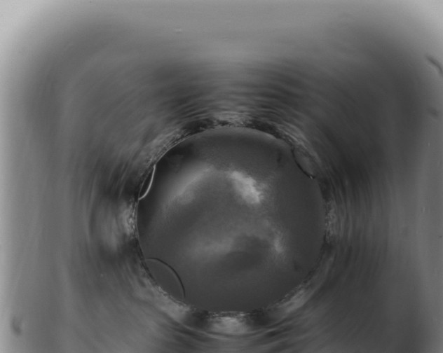 X0000103250285200809041116