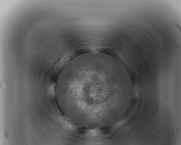 X0000103250286200809041116