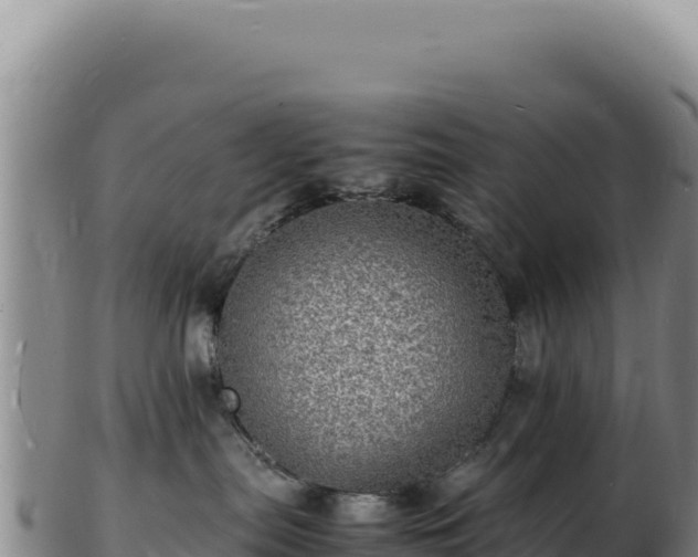 X0000103250287200809041116