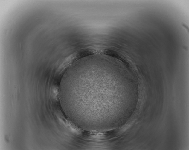 X0000103250288200809041116