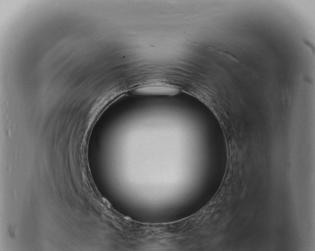X0000103250289200809041115