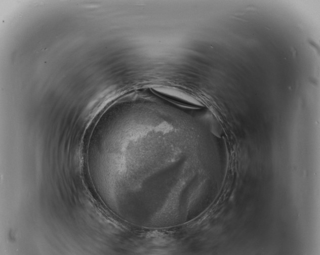 X0000103250290200809041115
