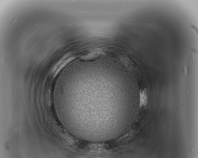 X0000103250291200809041115