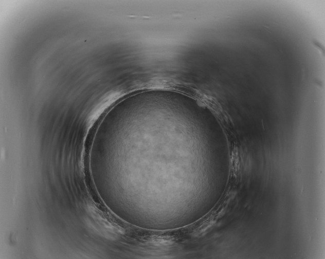 X0000103250292200809041115