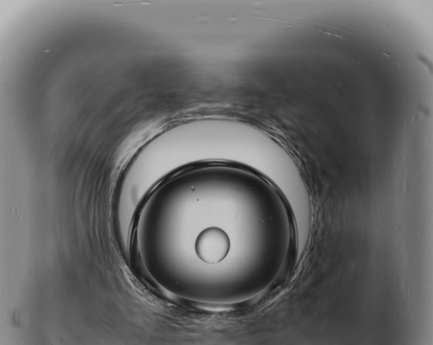 X0000103250293200809041115