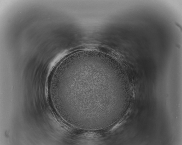 X0000103250294200809041115