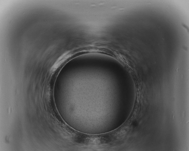 X0000103250295200809041115
