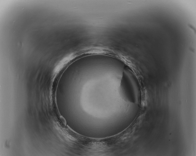 X0000103250296200809041115