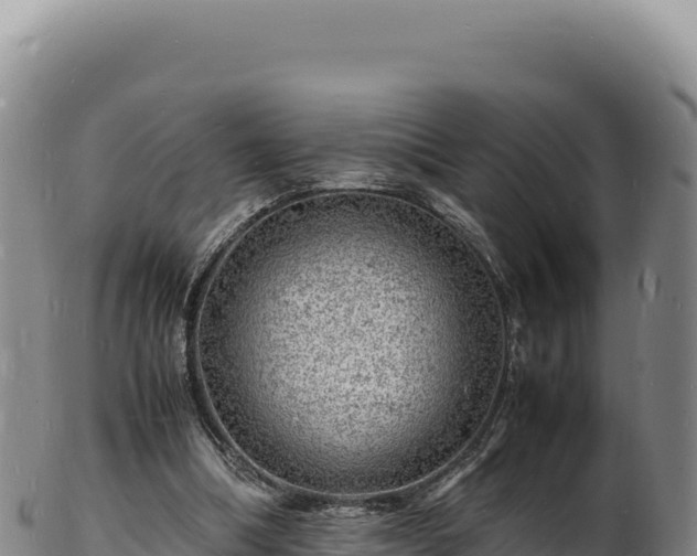 X0000103250298200809041115