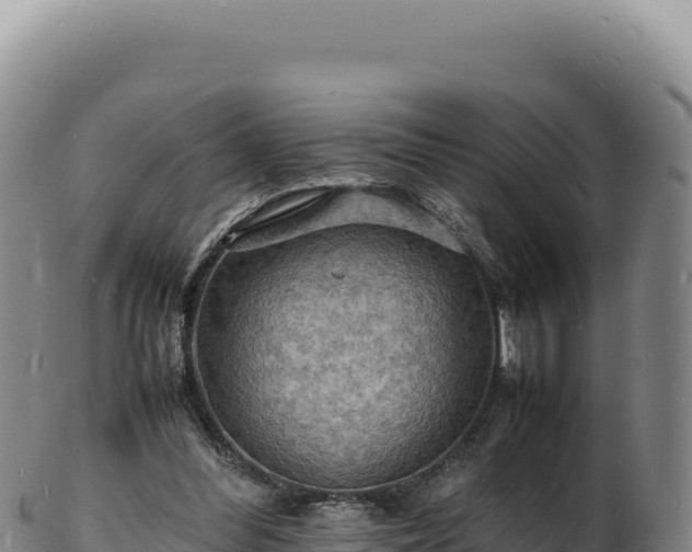 X0000103250300200809041115