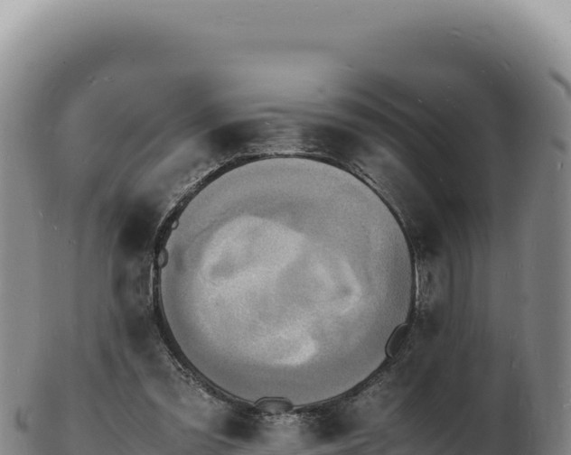 X0000103250301200809041115