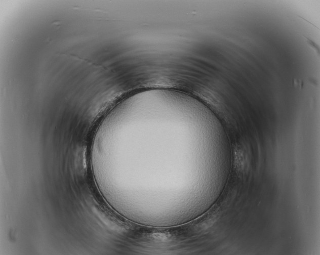 X0000103250302200809041115