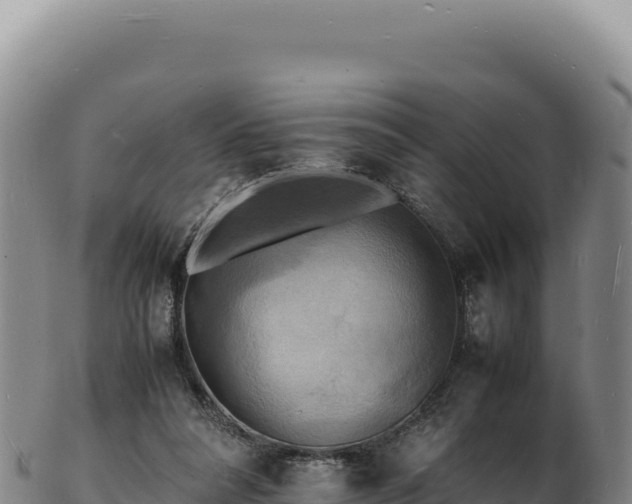 X0000103250304200809041115