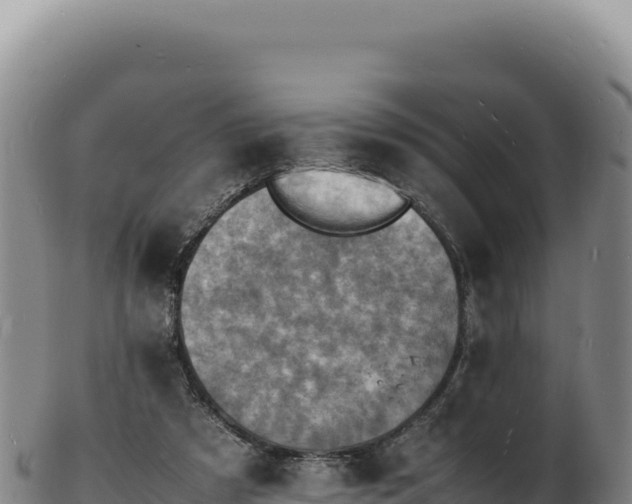 X0000103250305200809041115