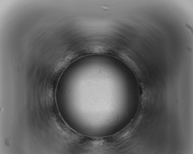 X0000103250306200809041115