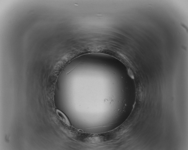 X0000103250307200809041115
