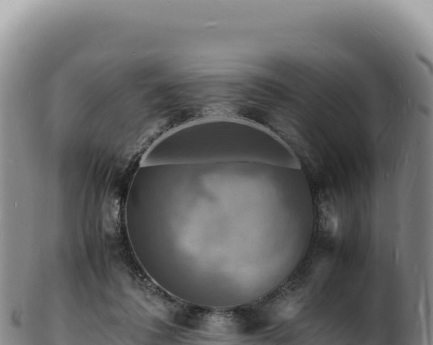 X0000103250308200809041115