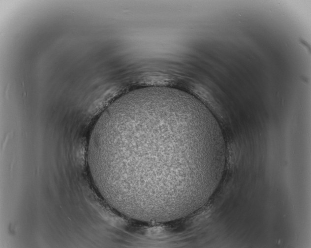 X0000103250309200809041115