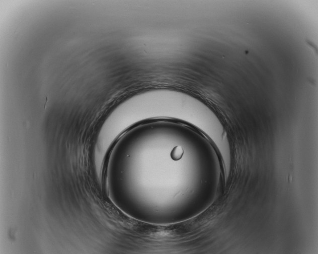 X0000103250312200809041115
