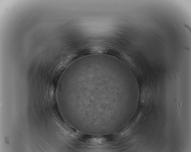 X0000103250314200809041115