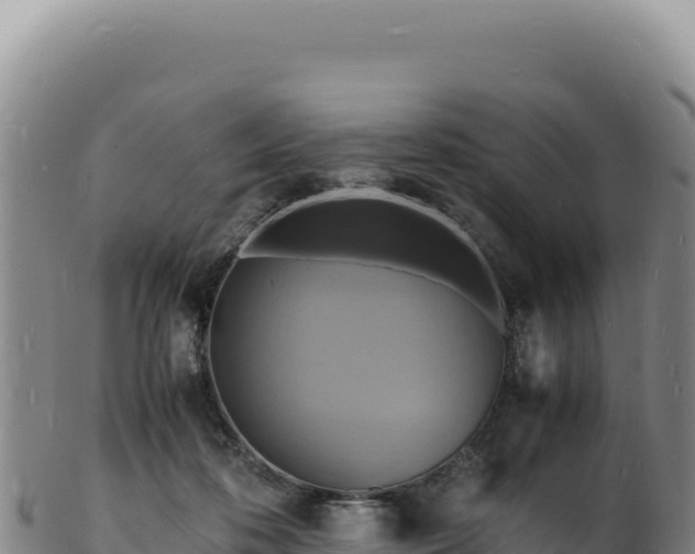 X0000103250316200809041115