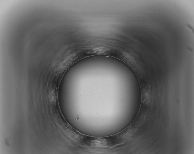 X0000103250317200809041115