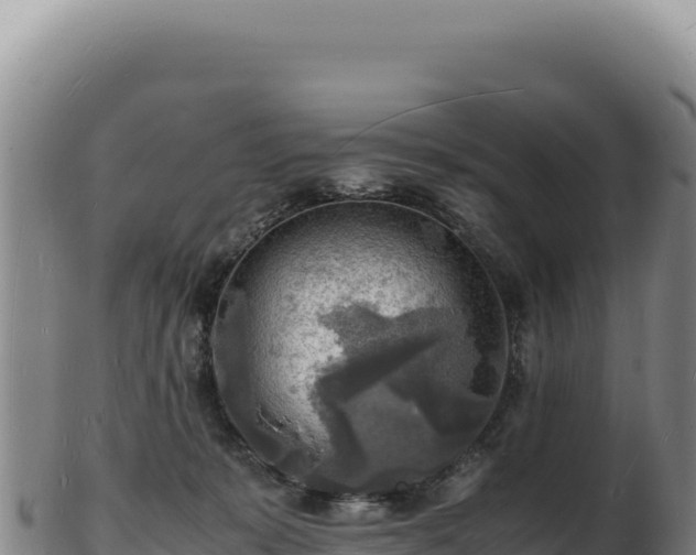 X0000103250319200809041115