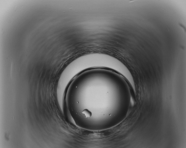 X0000103250320200809041114