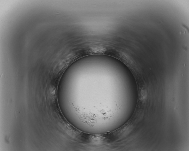 X0000103250321200809041114