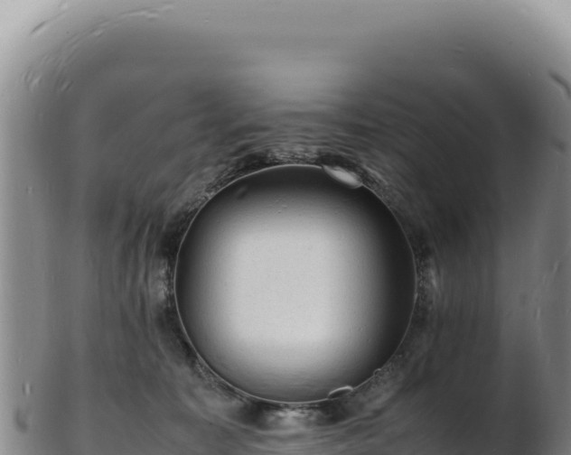 X0000103250323200809041114