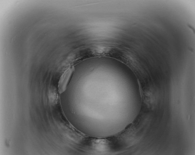 X0000103250324200809041114