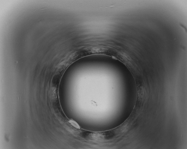 X0000103250327200809041114