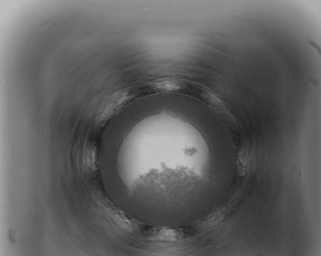 X0000103250330200809041114