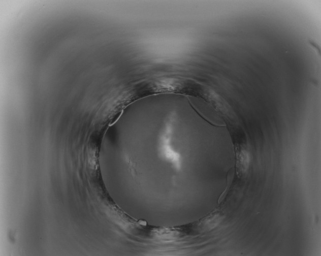 X0000103250331200809041114