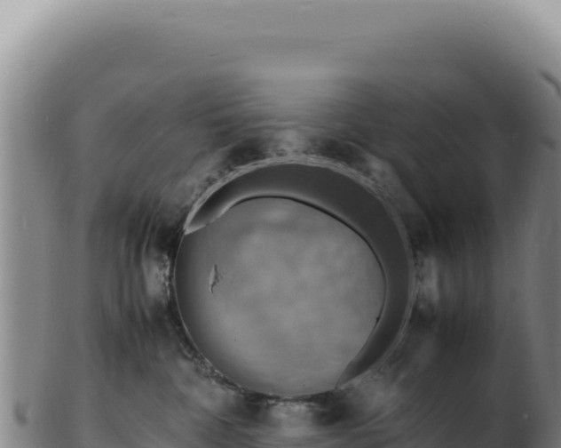 X0000103250332200809041114