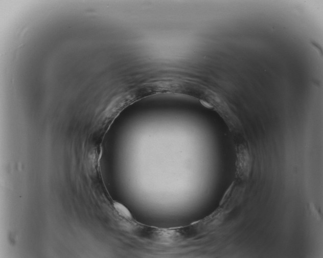 X0000103250333200809041114