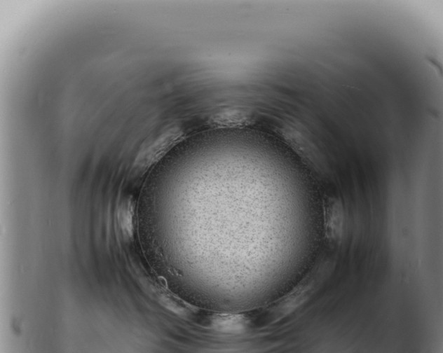 X0000103250334200809041114