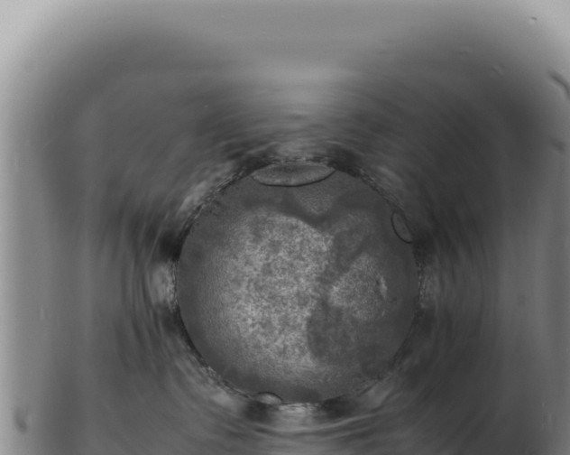X0000103250335200809041114