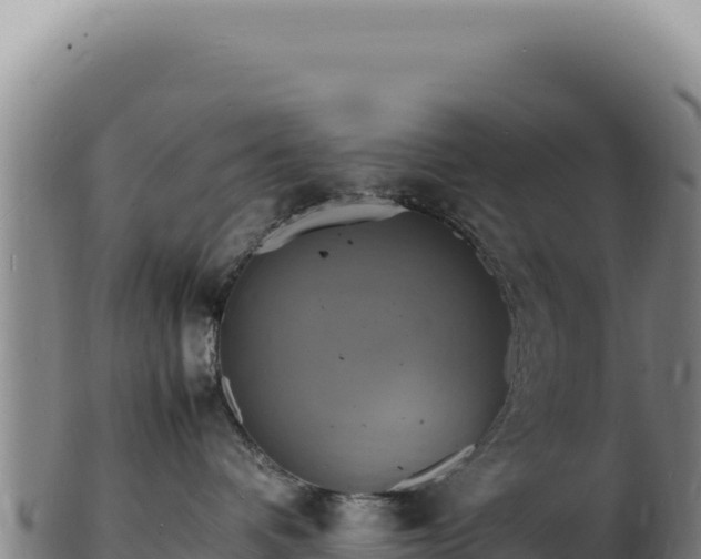 X0000103250336200809041114