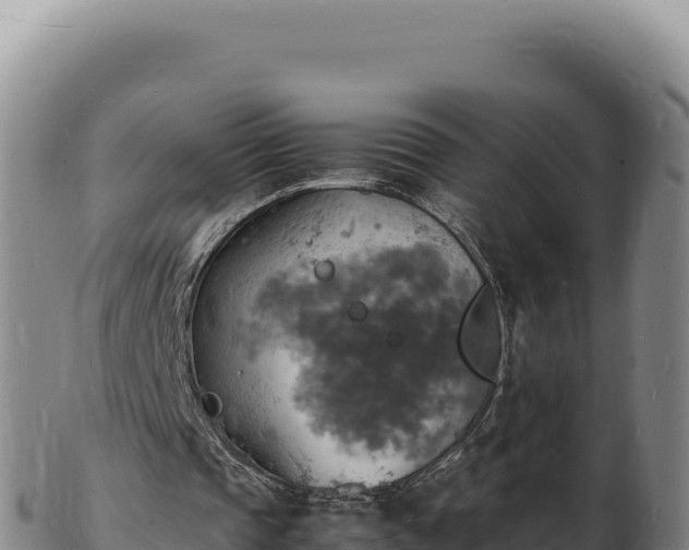 X0000103250337200809041114