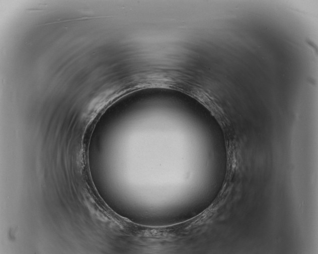 X0000103250338200809041114