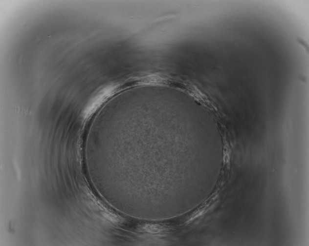 X0000103250341200809041114