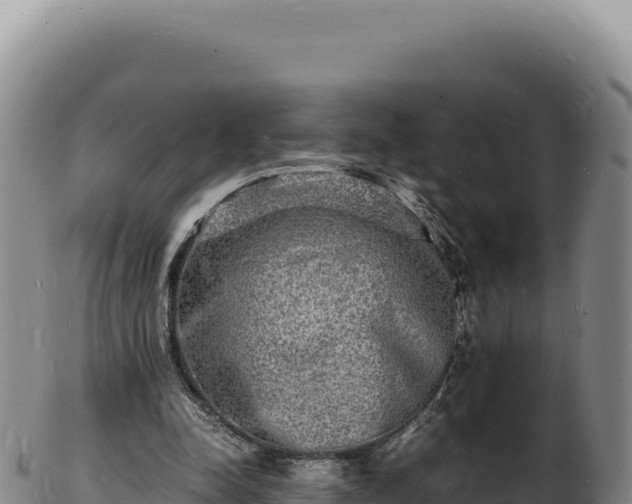 X0000103250342200809041114