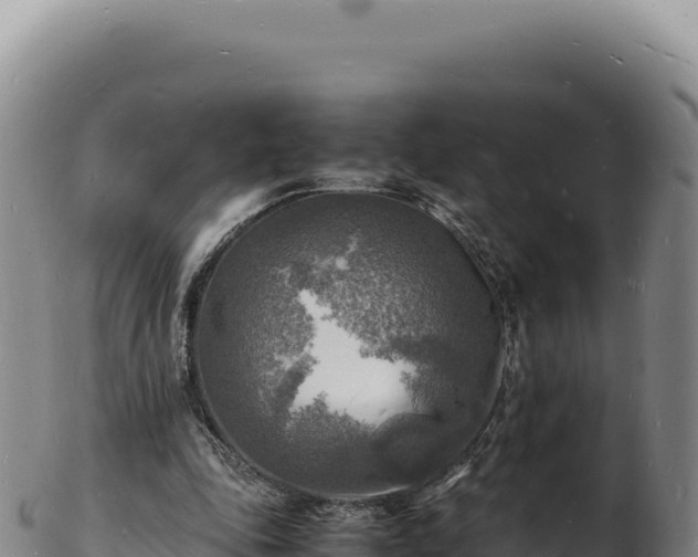 X0000103250343200809041114