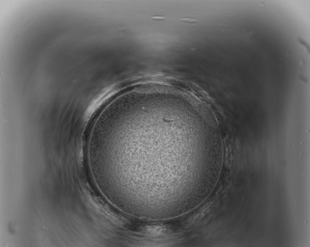 X0000103250344200809041114