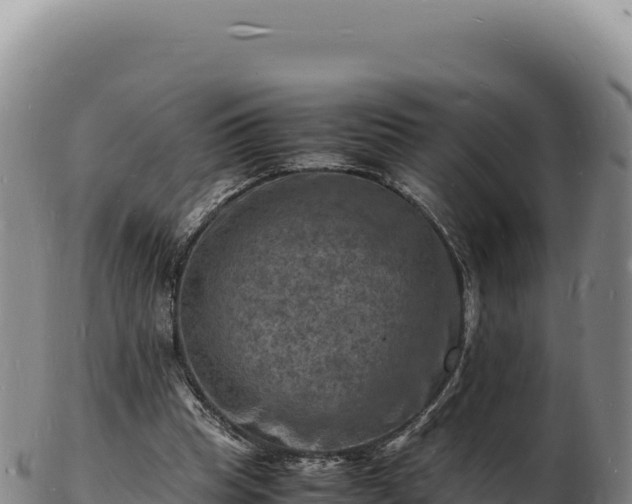 X0000103250345200809041114
